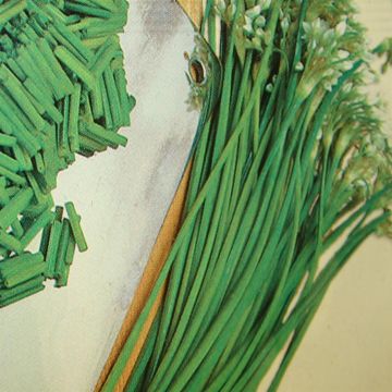 Snij Knoflook - Garlic Chives