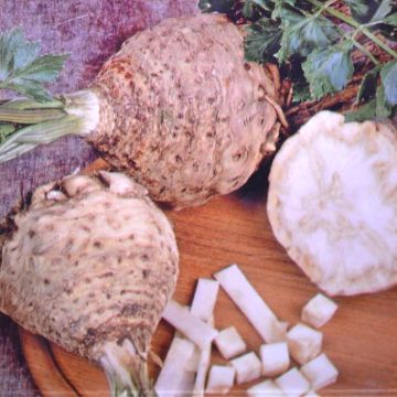 Celeriac Dolvi