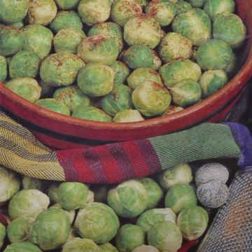 Brussels sprouts topline F1